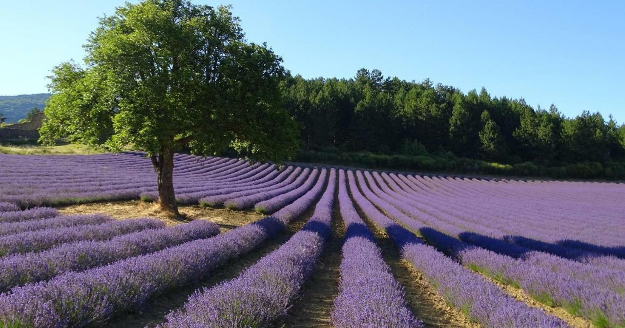 Villa L'Abricotier Malaucène Esterno foto